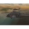 Купить Delta Force: Black Hawk Down