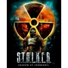 Купить S.T.A.L.K.E.R.: Shadow of Chernobyl