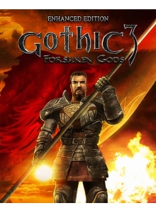 Купить Gothic 3: Forsaken Gods – Enhanced Edition