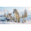 Купить Planet Zoo: Arctic Pack