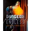 Купить Dungeon of the Endless – Deep Freeze