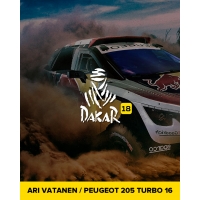 Dakar 18 - Ari Vatanen / Peugeot 205 Turbo 16