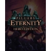 Купить Pillars of Eternity – Hero Edition