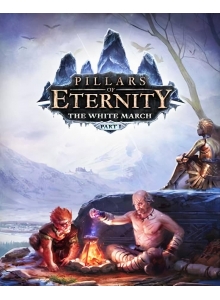 Купить Pillars of Eternity – The White March: Part I